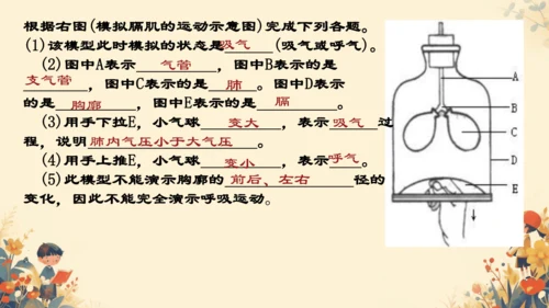 人教版（新课程标准）七年级下册4.3.2 发生在肺内的气体交换课件(共20张PPT)