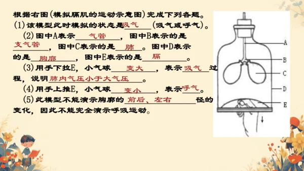 人教版（新课程标准）七年级下册4.3.2 发生在肺内的气体交换课件(共20张PPT)