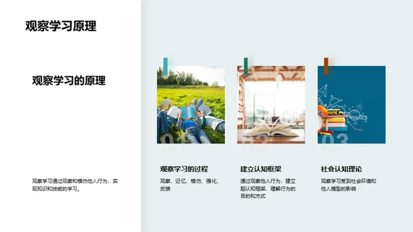 深化观察学习理解