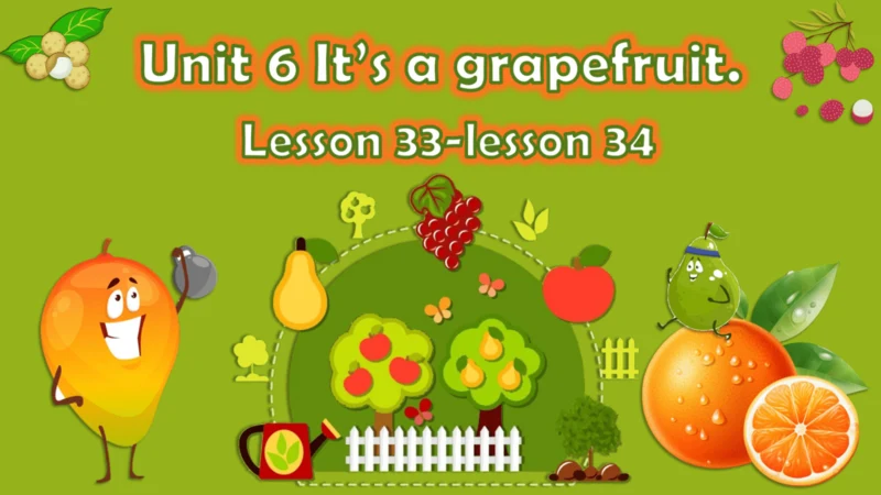 Unit6 It is grapefruit.lesson 35-36课件（共18张PPT）