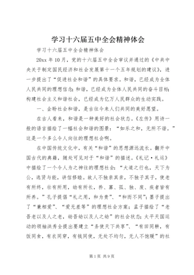 学习十六届五中全会精神体会 (2).docx