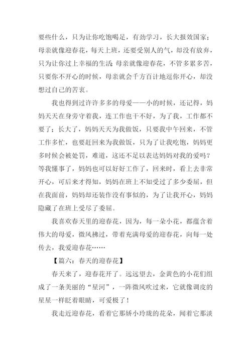 春天的迎春花作文400字.docx