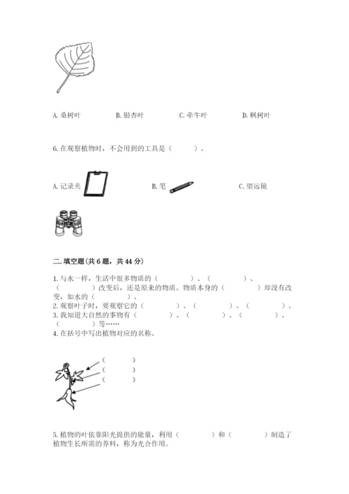 教科版科学一年级上册第一单元《植物》测试卷及答案（考点梳理）.docx