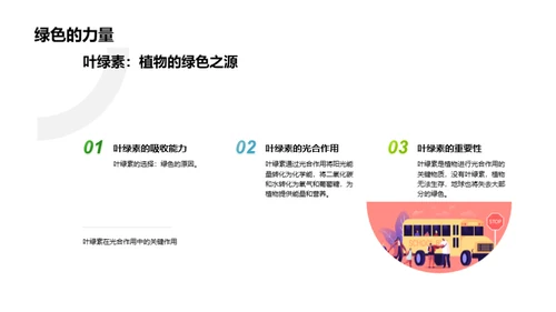 揭秘绿色之源
