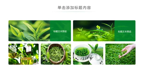 清新茶文化采茶茶道茶艺茶文化PPT模板