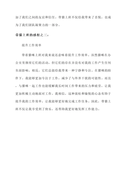 带猫上班的感想