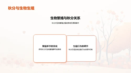 秋分之谜