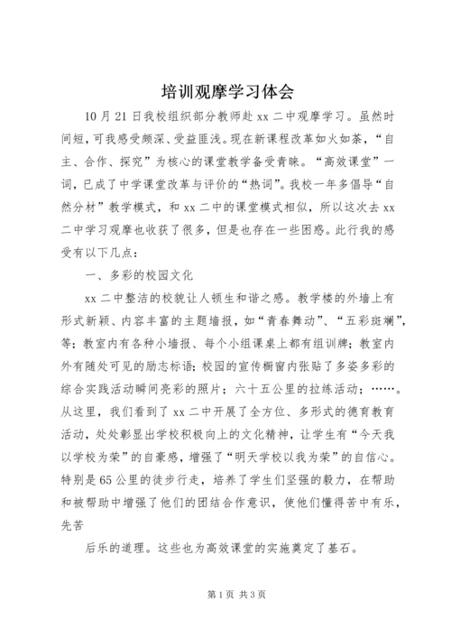 培训观摩学习体会.docx
