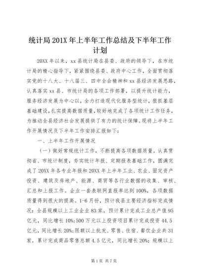 统计局201X年上半年工作总结及下半年工作计划.docx