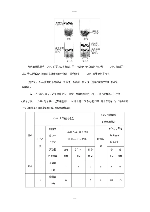 高中生物第4章遗传的分子基础第2节DNA分子的结构和复制(第2课时)DNA分子的复制学案苏教版必修2