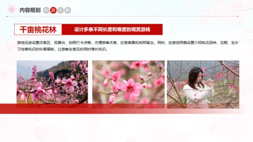 小镇桃花节策划方案通用PPT