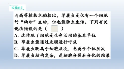 人教版生物七年级上册第一单元《生物与细胞》单元复习课件(共53张PPT)