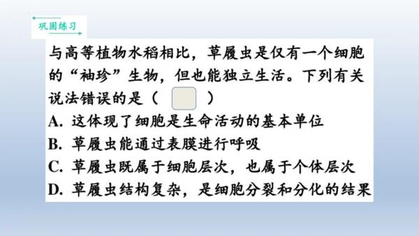 人教版生物七年级上册第一单元《生物与细胞》单元复习课件(共53张PPT)