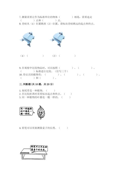 教科版一年级上册科学期末测试卷及完整答案.docx