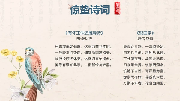 黄色中国风花鸟二十四节气之惊蛰带内容PPT模板