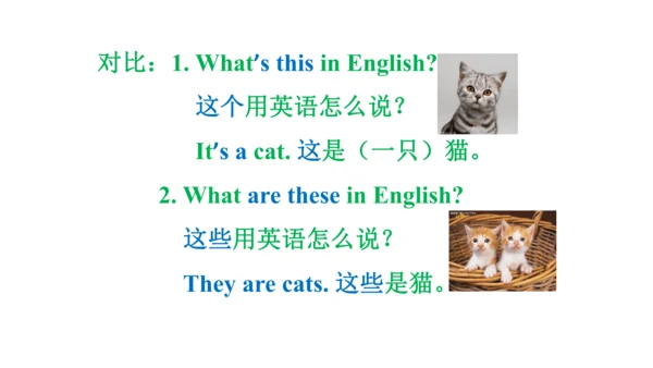 Unit 6  Would you like to take a trip? 单元知识梳理（单词+句