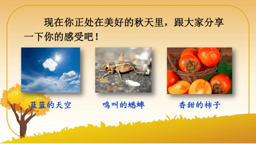6 秋天的雨   课件