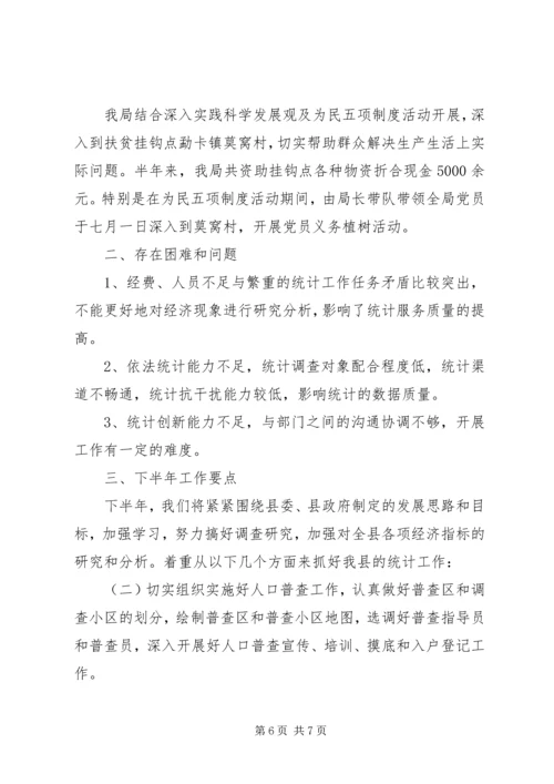 统计局上半年工作总结和下半年工作计划_1 (2).docx