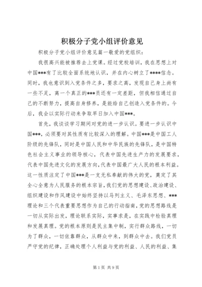 积极分子党小组评价意见.docx