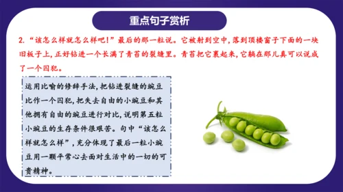 统编版语文四年级上册第二单元（复习课件）