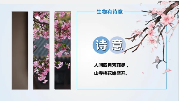 七年级生物学开学第一课-2023-2024学年七年级生物上册同步精品课堂（苏科版）(共32张PPT)