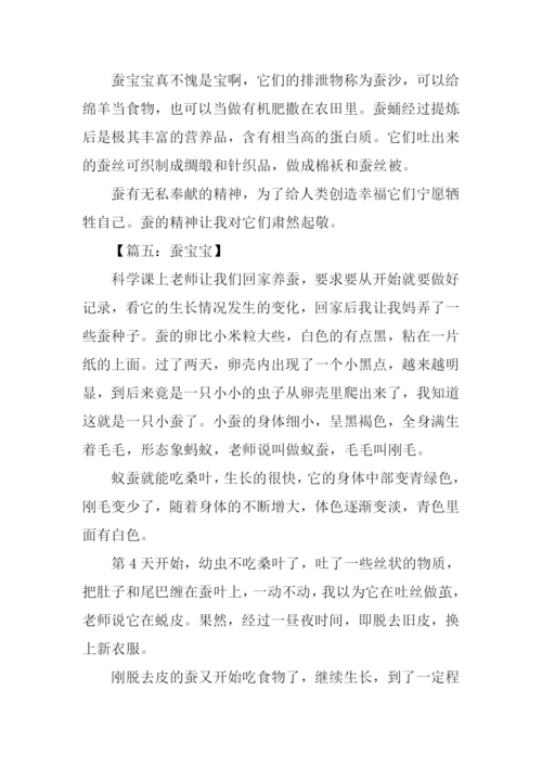 蚕宝宝的作文-1.docx