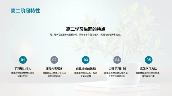 高二生涯的应对策略