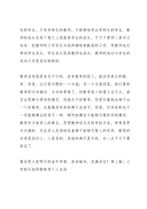 校长挂职锻炼总结.docx