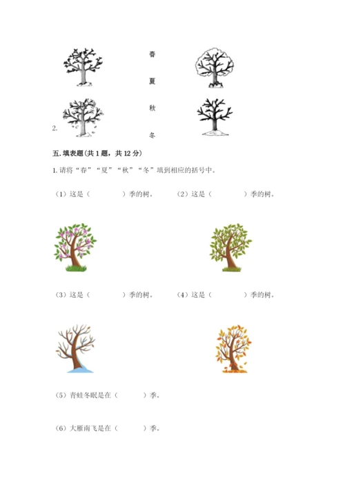 教科版小学二年级上册科学期末测试卷（巩固）.docx