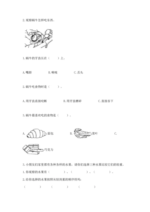 教科版一年级下册科学期末测试卷及参考答案.docx