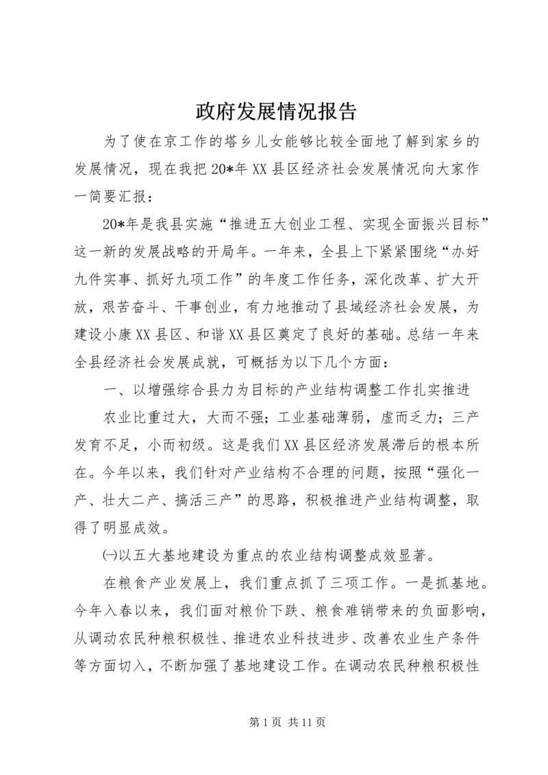 政府发展情况报告.docx