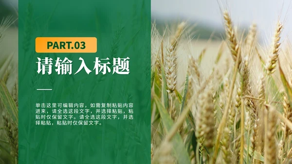 绿色简约实景全民推进乡村振兴PPT模板