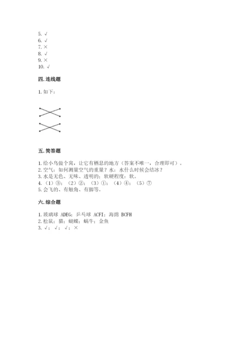教科版一年级下册科学期末测试卷精品（能力提升）.docx