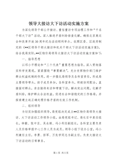 领导大接访大下访活动实施方案.docx