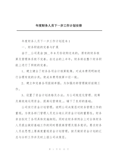 年度财务人员下一步工作计划安排.docx