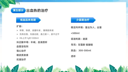 蓝色简约医疗肾综合出血热治疗预防讲座PPT护理
