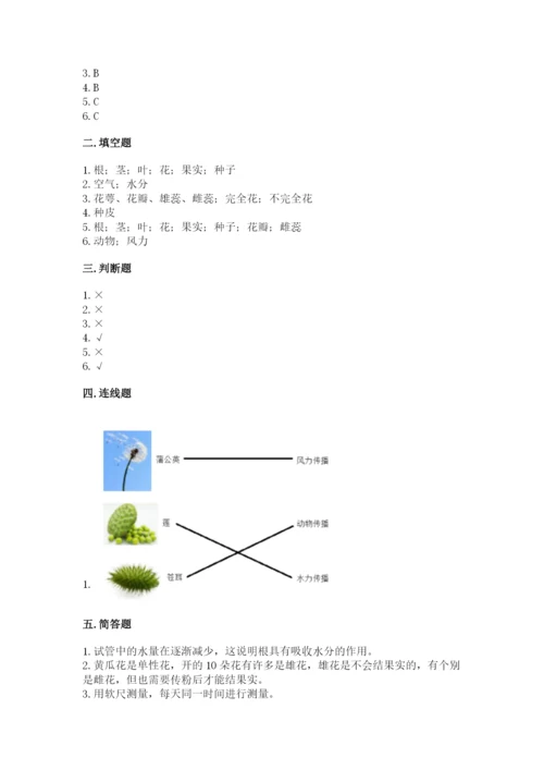 教科版科学四年级下册第一单元《植物的生长变化》测试卷含答案（精练）.docx