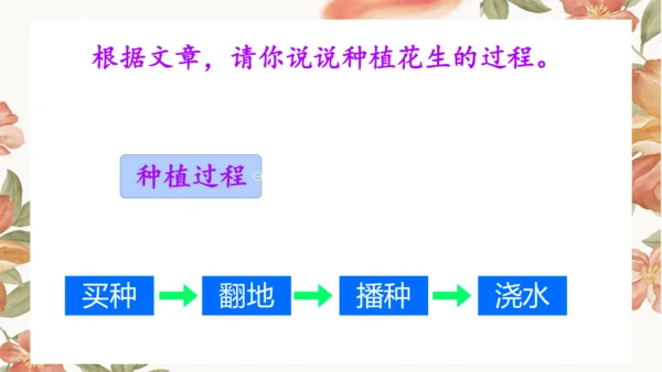 2 落花生 课件