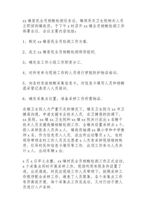 规范核酸检测工作总结范本.docx