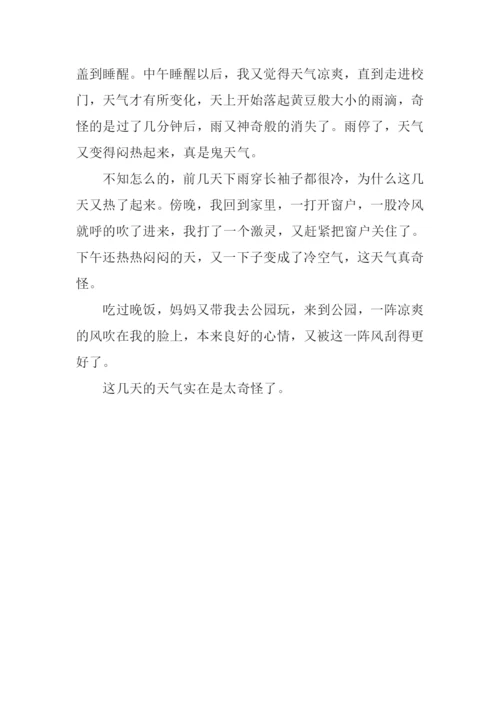 奇怪的天气作文.docx