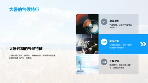 大暑农业生产