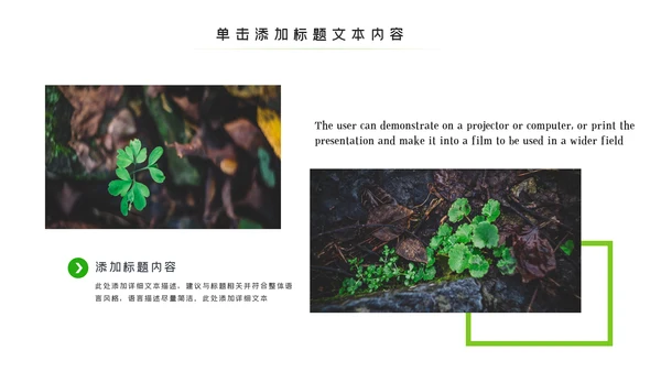 唯美绿色植物发芽植物生长敬畏生命PPT模板
