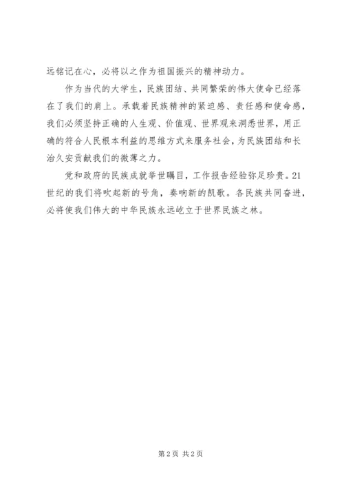 思想汇报范文：民族振兴，携手共进 (2).docx