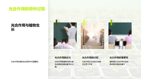 植物的奥秘世界