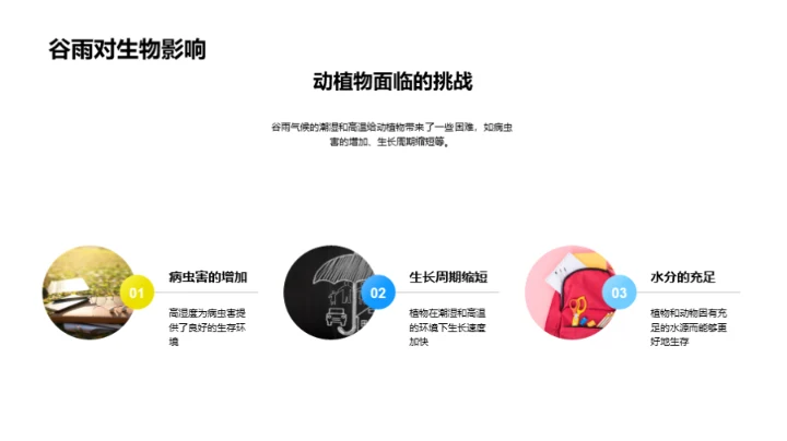 探索谷雨的气候秘密