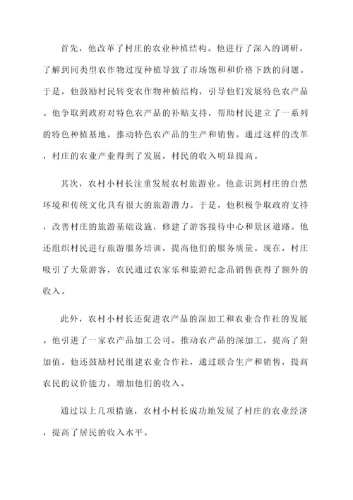 农村小村长先进事迹