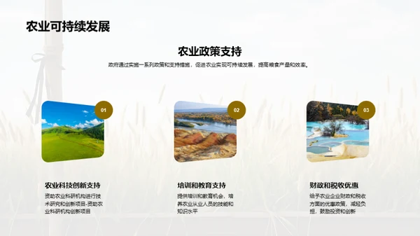 简约风农林牧渔教育活动PPT模板