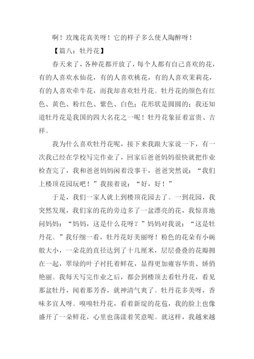 花的作文400字四年级.docx