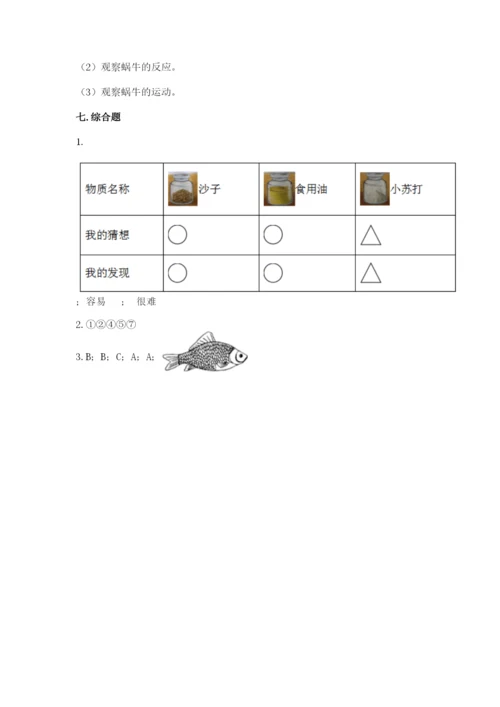 教科版小学科学一年级下册期末测试卷及答案【历年真题】.docx