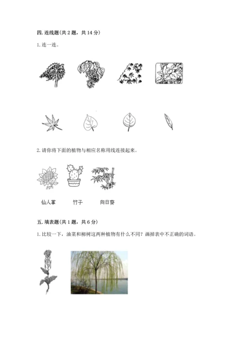 教科版科学一年级上册第一单元《植物》测试卷（易错题）.docx